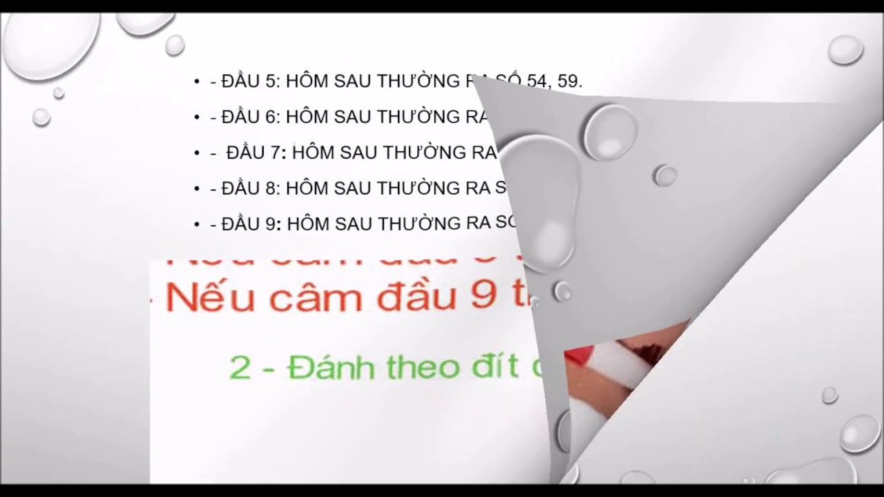 Chỉ nên nuôi lô đầu 8 câm khoảng 3 - 5 ngày nếu vẫn chưa về thì bỏ Chỉ nên nuôi lô đầu 8 câm khoảng 3 - 5 ngày nếu vẫn chưa về thì bỏ